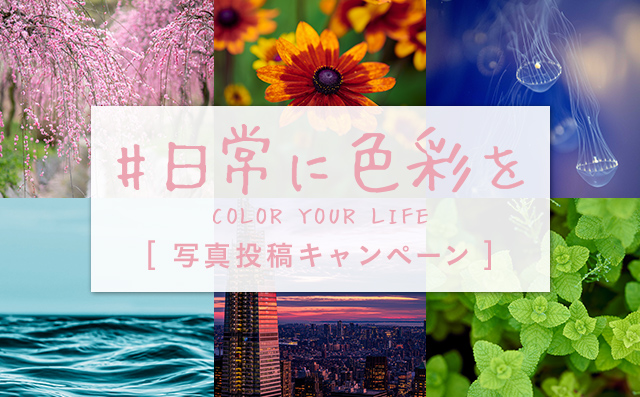 『#日常に色彩を』写真投稿キャンペーン開催中
