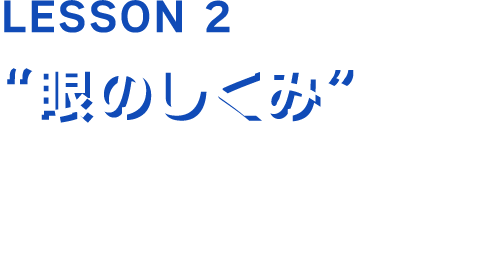 LESSON2「眼のしくみ」色彩検定3級公式テキストP19～